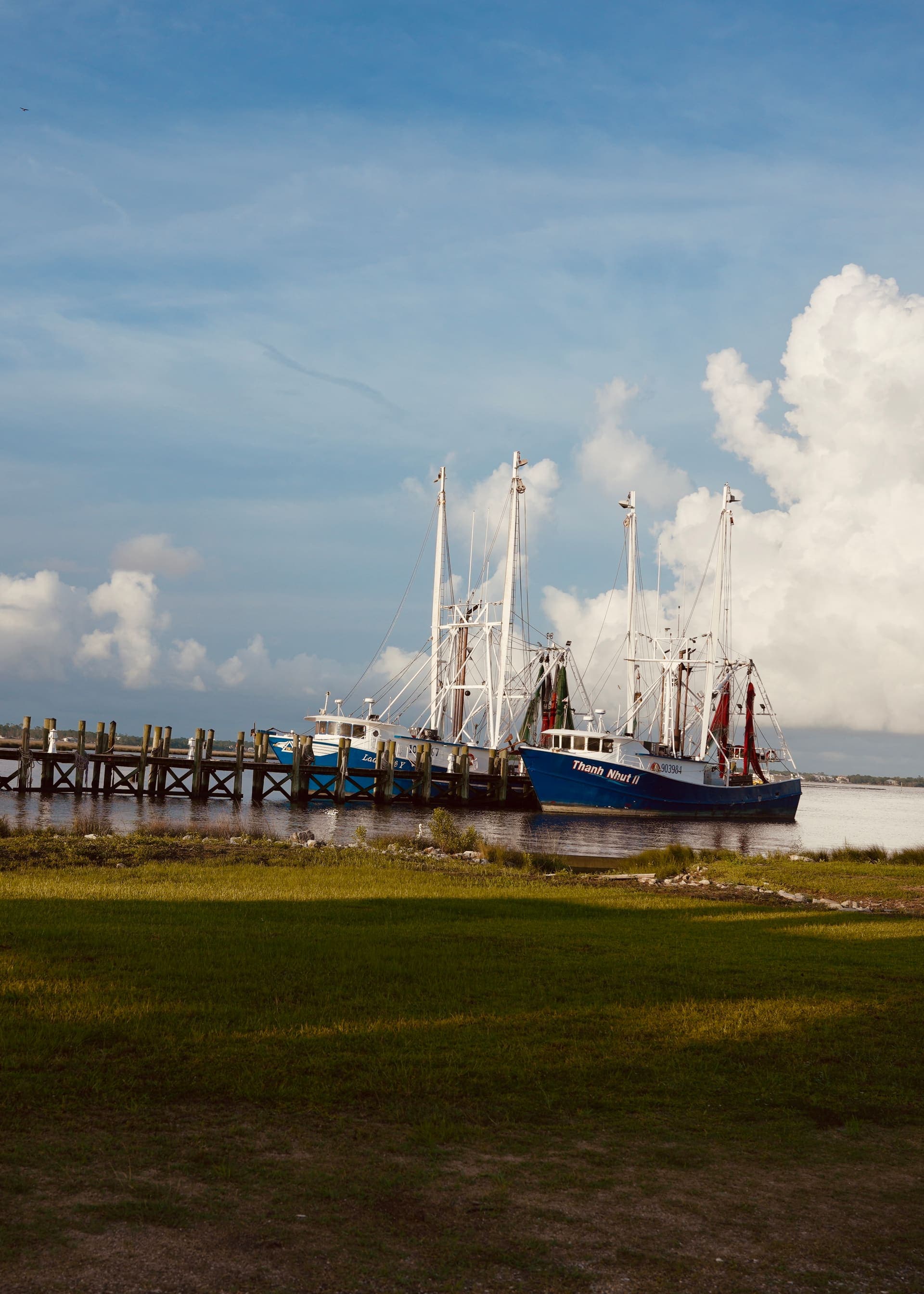 Mississippi Delta