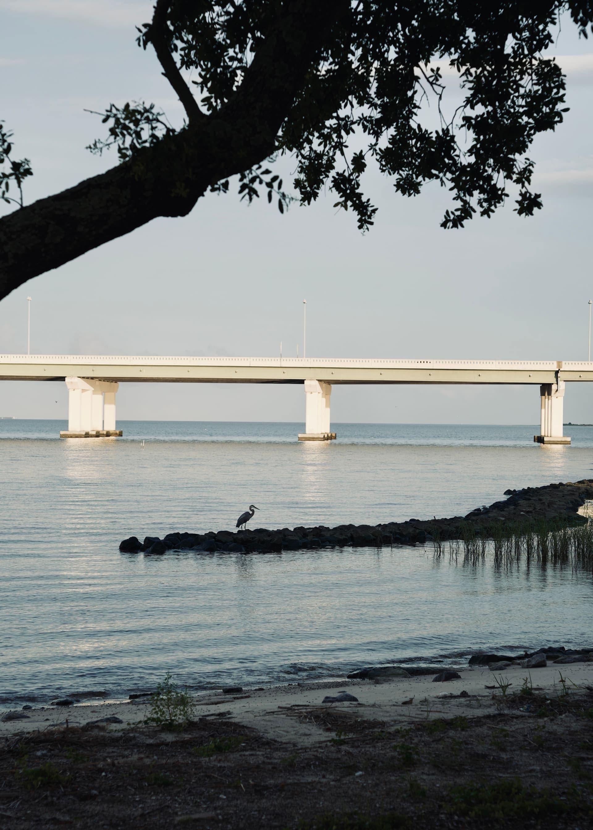 Mississippi 14