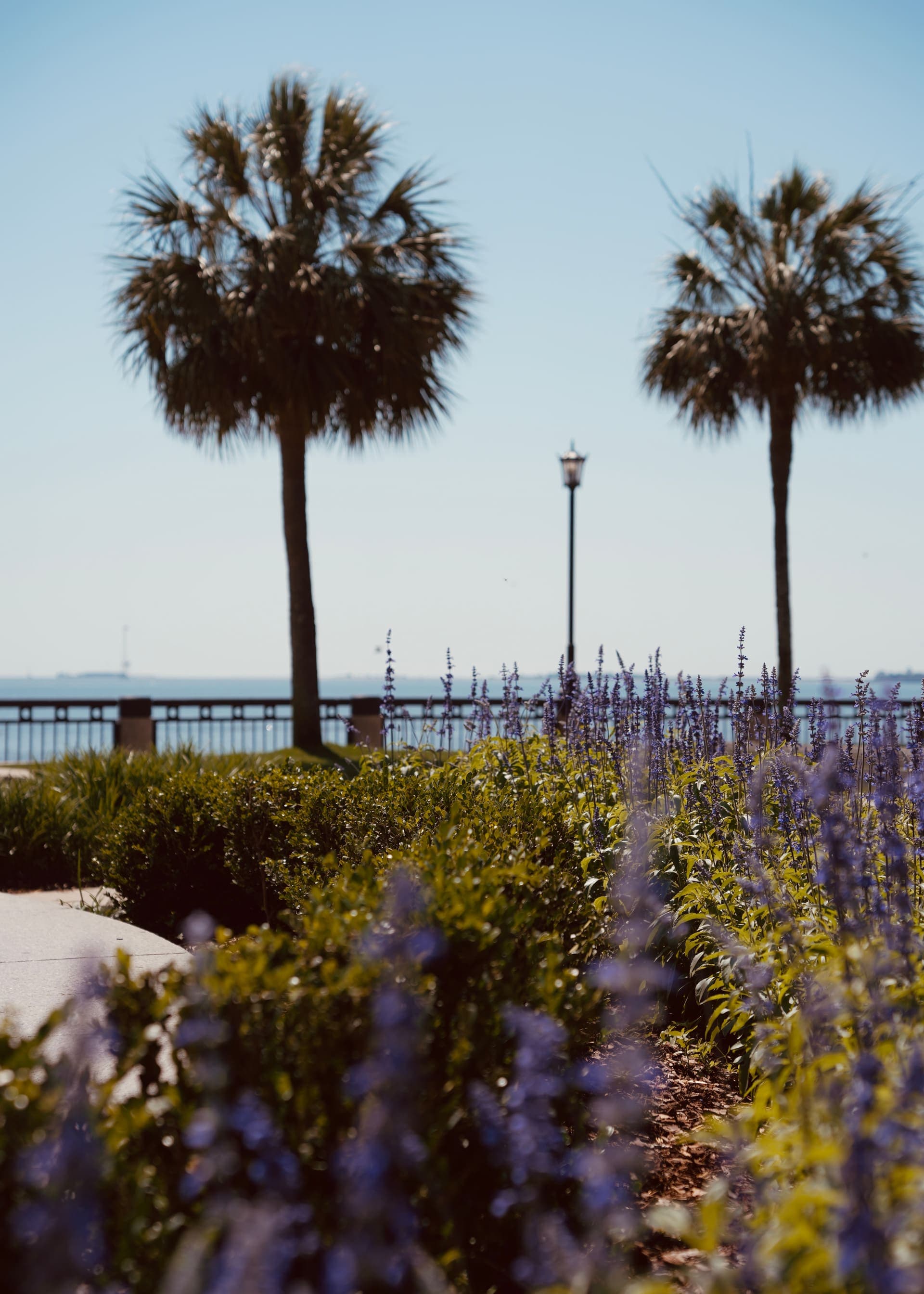 South Carolina Küste